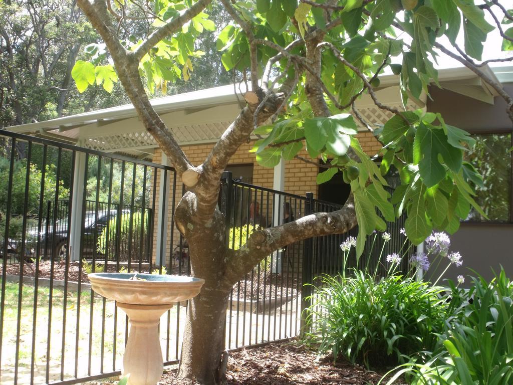 Margaret House Apartment Margaret River Phòng bức ảnh